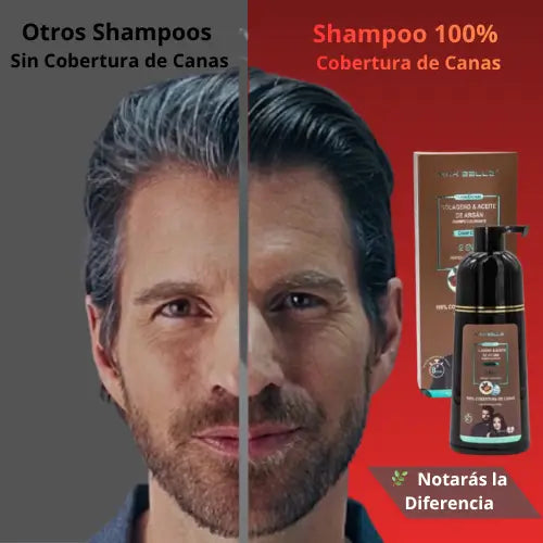 SHAMPOO PINTA CANAS MAX BELLE 400 ML