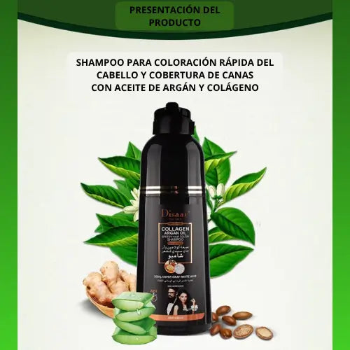 SHAMPOO COLORANTE TINTE CUBRE CANAS